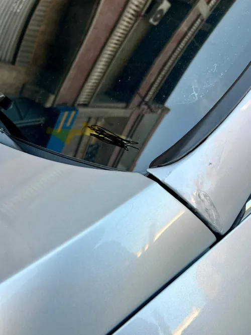 Seat Leon 2019 Leon