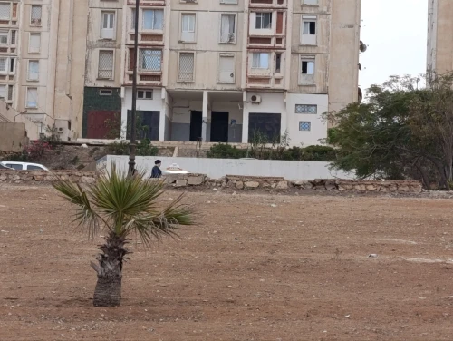 Location Local Mostaganem Mostaganem