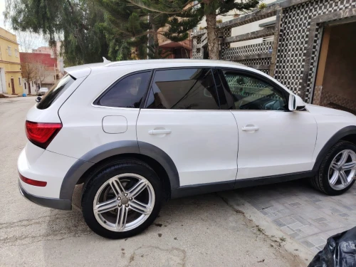 Audi Q5 2013 Offroad