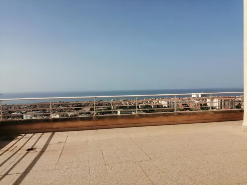 Location Local Alger Mohammadia