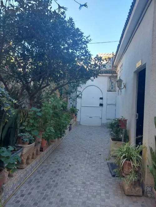Vente Villa Alger Ain benian