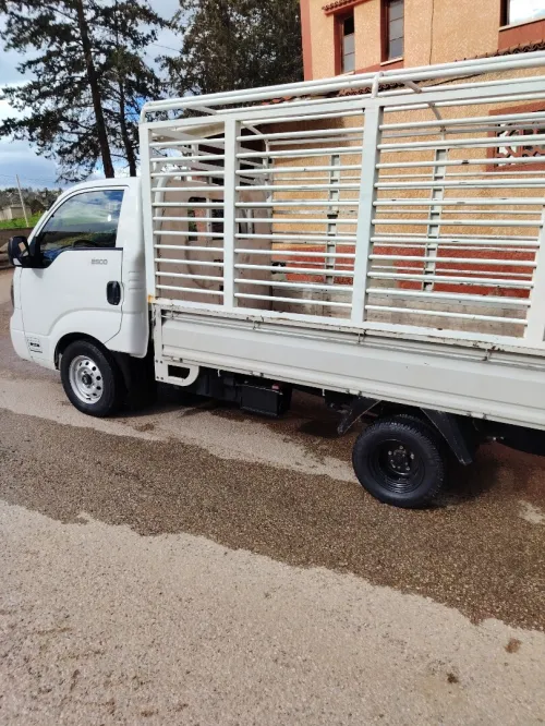 Kai K2500 2019