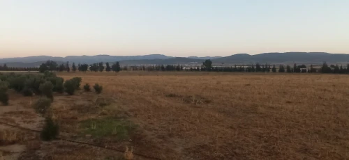 Vente Terrain Agricole Khenchela Remila