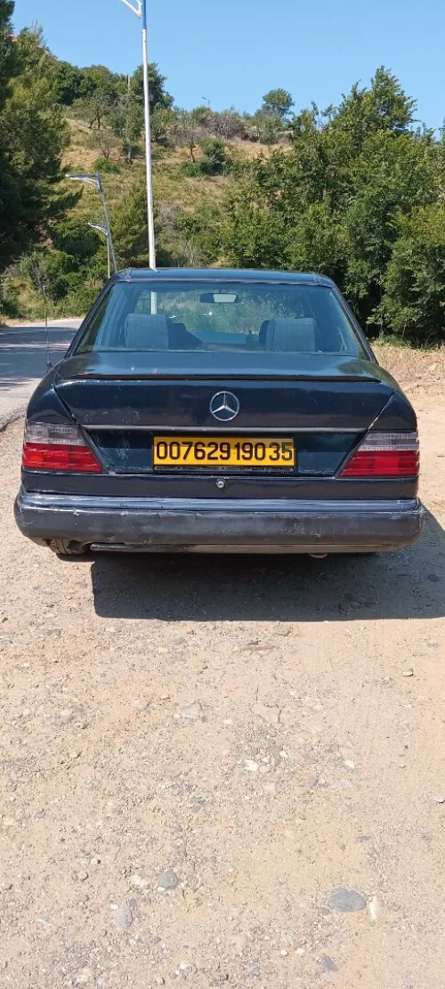 Mercedes 124 1990 250d