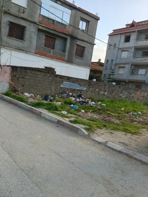 Vente Terrain Alger Reghaia