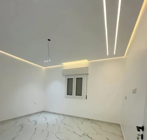 Peintre peinture décoration professionnel Alger