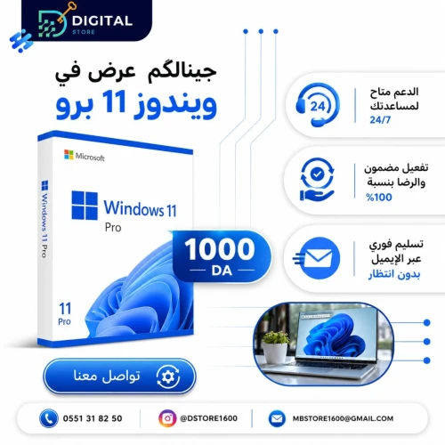 Windows 10 / 11 pro