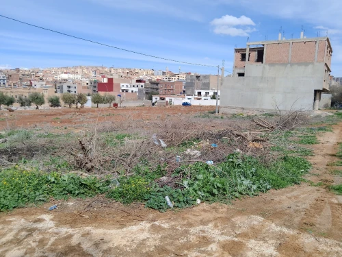 Vente Terrain Tlemcen Tlemcen