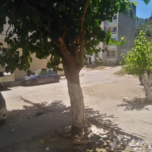 Vente Local Jijel El aouana