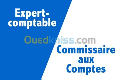 Commissaire aux comptes Expert comptable 