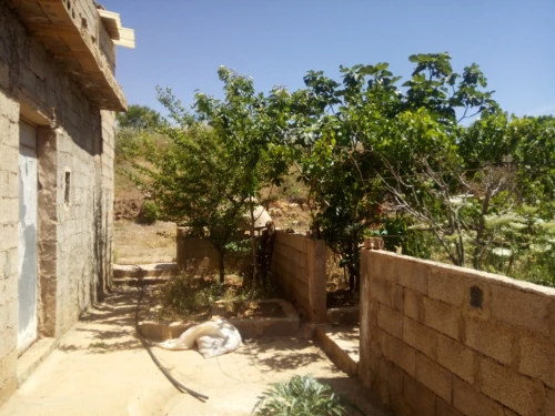 Vente Terrain Agricole Tlemcen Ain fezza