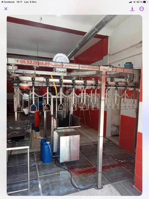 Abattoir chaine abattage poule