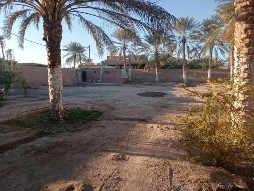 Location vacances Villa Biskra Tolga