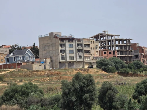 Vente Immeuble Alger Birtouta