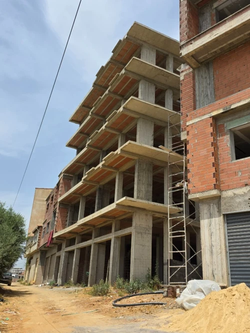 Vente Immeuble Alger Birtouta
