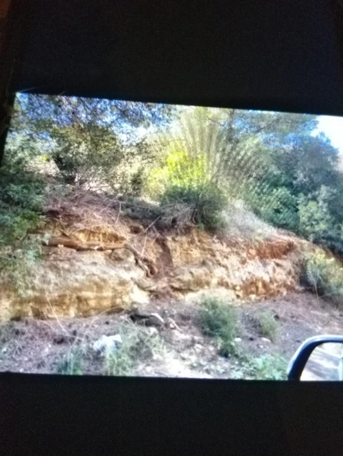 Vente Terrain Alger El achour
