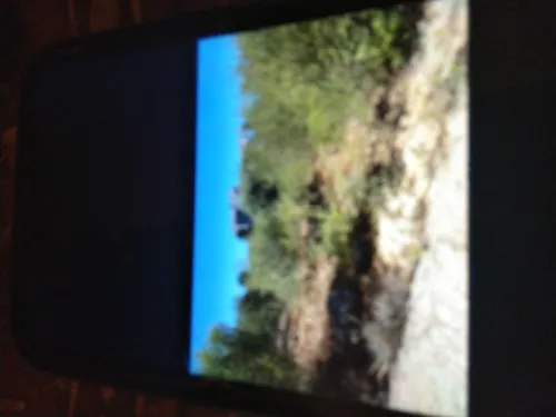 Vente Terrain Alger El achour