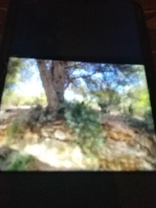 Vente Terrain Alger El achour