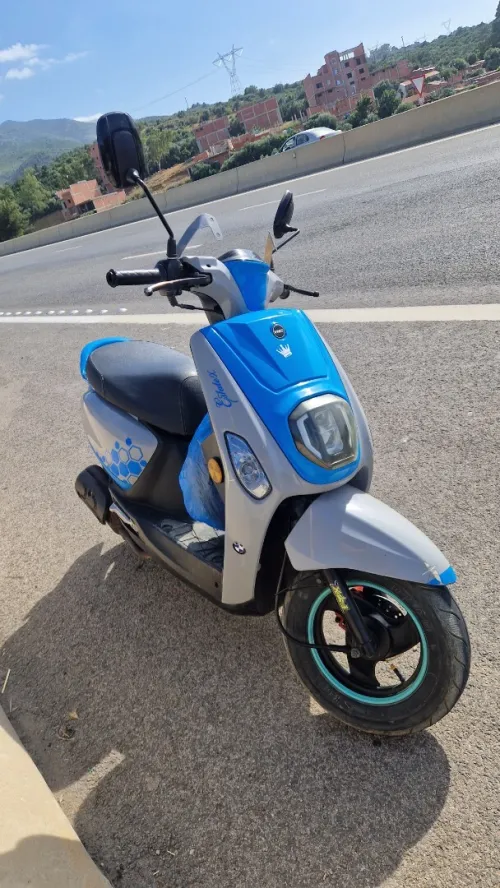 Vms Cuxi estate x 2022