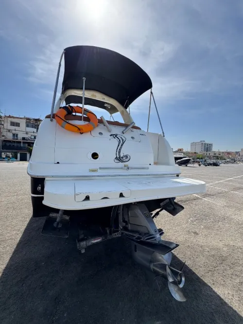Vente bateaux sea ray , moteur neuf Volvo 
