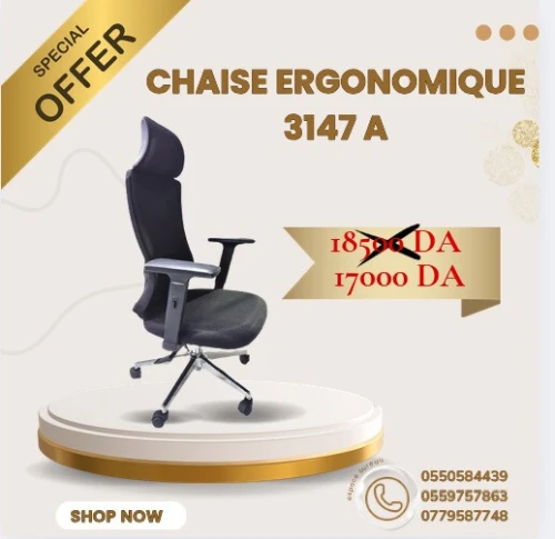 Chaise Bureau Ergonomique 3147A