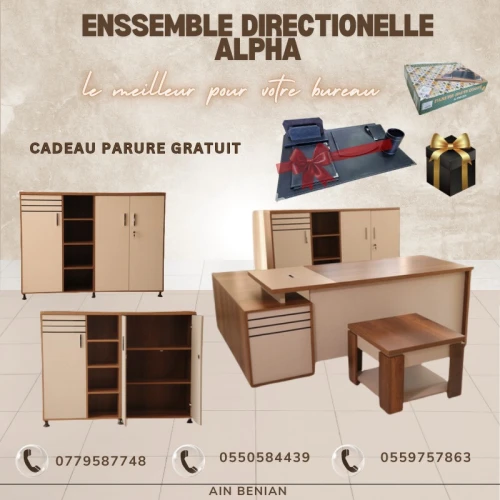 Enssemble bureau 5 pieces ALfa -04 EN PROMO