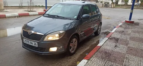 Skoda Fabia 2014 Fresh