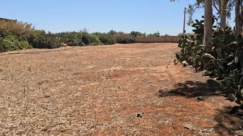 Vente Terrain Agricole Mostaganem Sidi lakhdaara