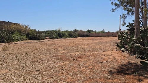 Vente Terrain Agricole Mostaganem Sidi lakhdaara