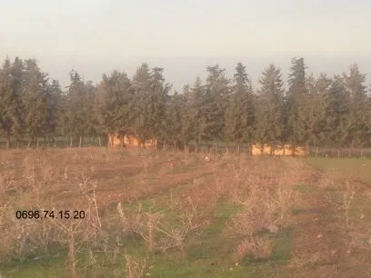 Vente Terrain Blida Ain romana