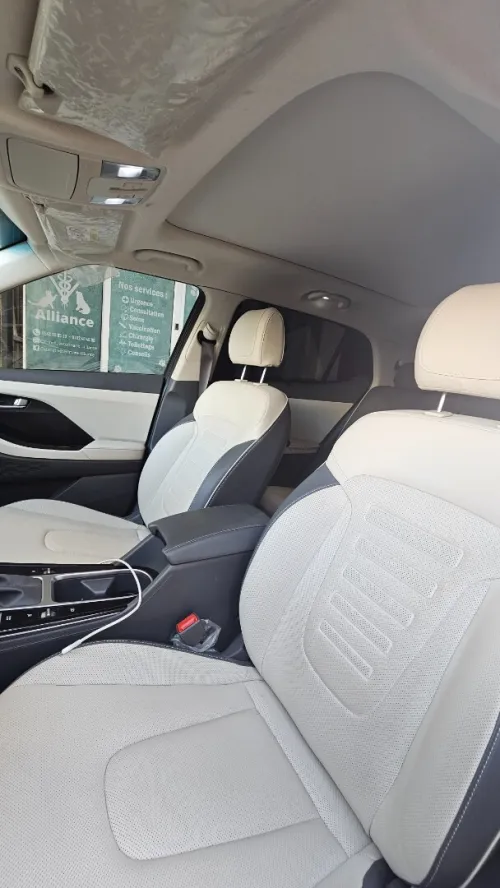 Hyundai Creta 2025 Premium (IVT)