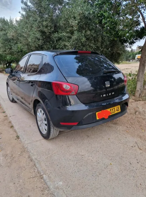 Seat Ibiza 2013 Loca