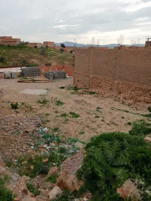 Vente Terrain Tlemcen Ouled mimoun