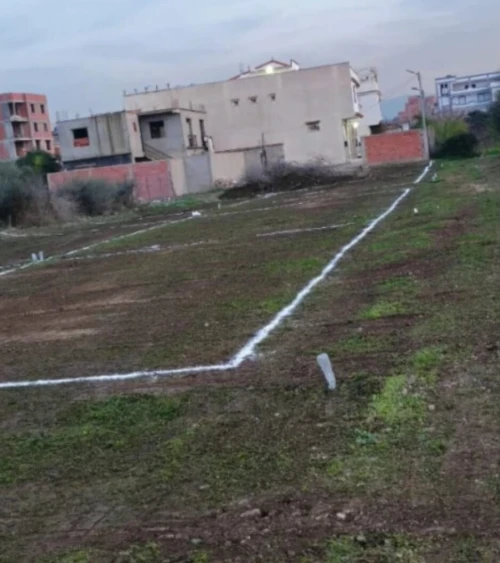 Vente Terrain Alger Ouled chebel 5