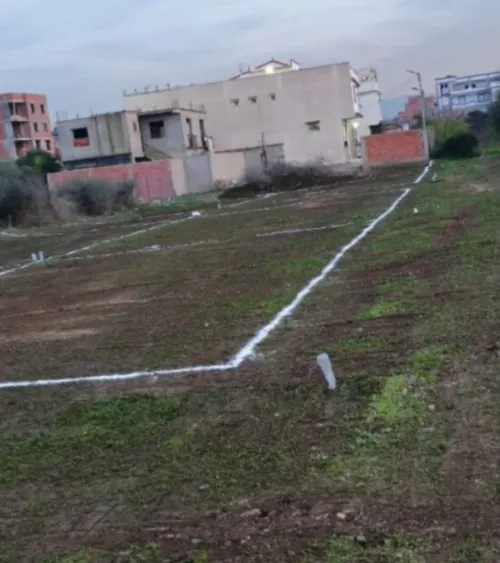 Vente Terrain Alger Ouled chebel