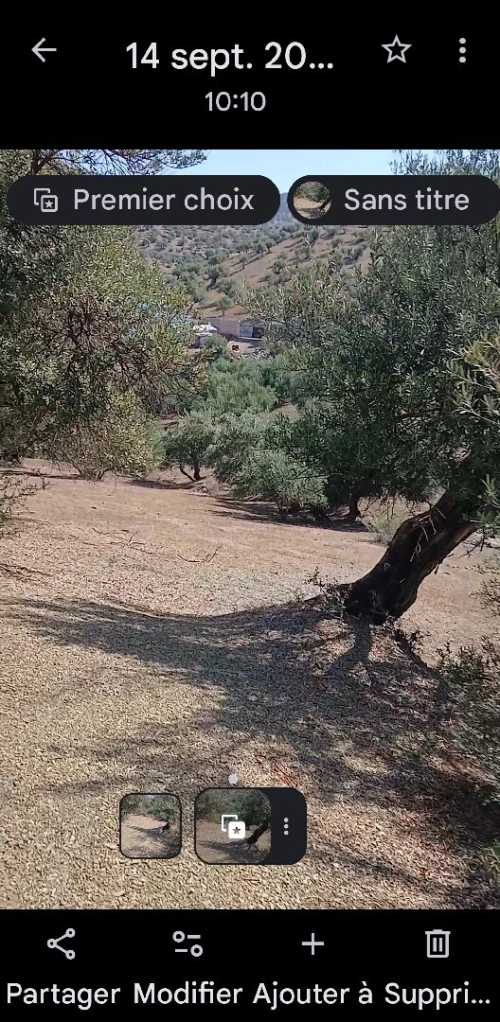 Vente Terrain Béjaïa Ait rzine