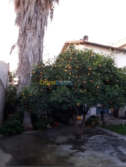 Vente Villa Constantine Constantine