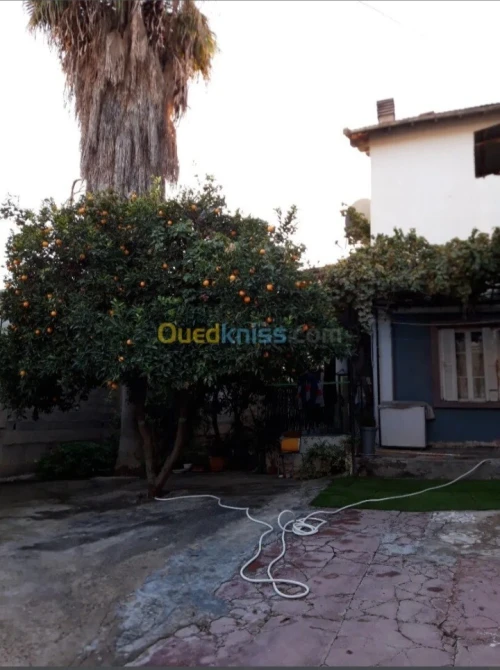 Vente Villa Constantine Constantine