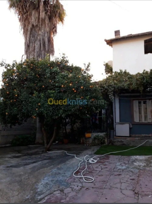 Vente Villa Constantine Constantine