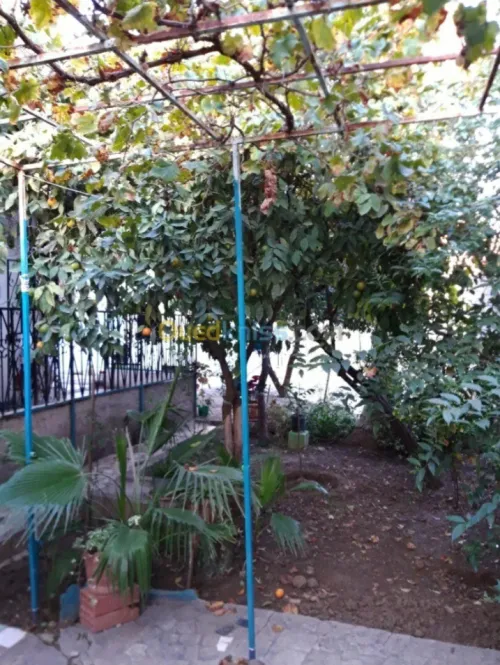 Vente Villa Constantine Constantine