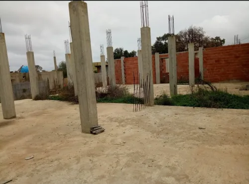 Vente Terrain Skikda Skikda
