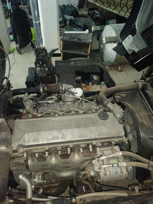 Isuzu Npr frigo 