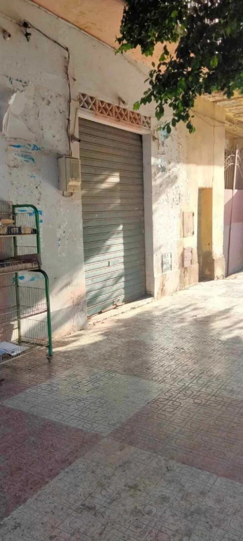 Vente Local Mostaganem Ain nouissi