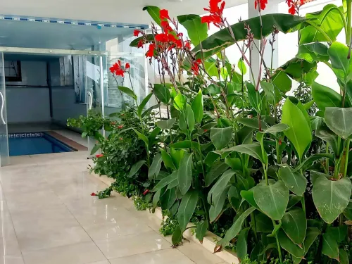 Location Appartement F2 Oran Ain el turck