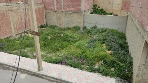 Vente Terrain Khenchela Yabous