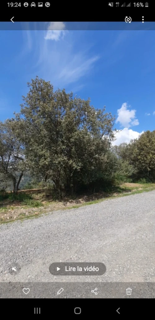 Vente Terrain Agricole Tizi Ouzou Ouacif