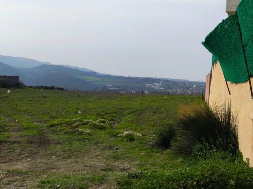 Vente Terrain Boumerdès Tidjelabine