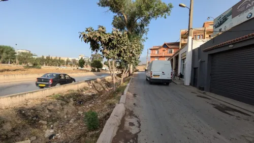 Location Local Blida Beni mered