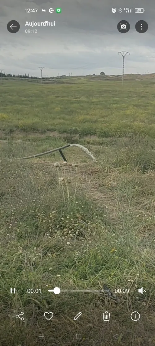 Vente Terrain Agricole Bordj Bou Arreridj Bordj bou arreridj 2