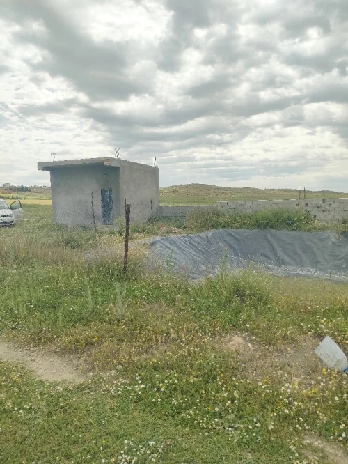 Vente Terrain Agricole Bordj Bou Arreridj Bordj bou arreridj 3